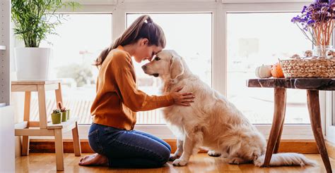 The Magic of Bonding: Developing a Deep Connection with your Pet